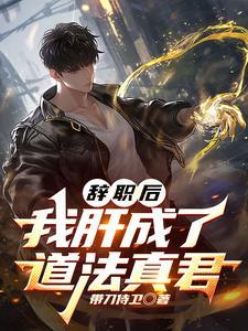 辞职后的我