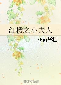 红楼小夫妻 红楼小夫妻